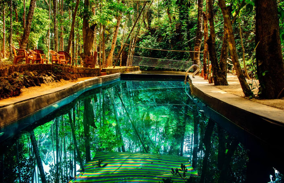 NV Eco Agro Tourism Pvt Ltd ( NV Eco farm ), South Goa, Goa - Vushii.com
